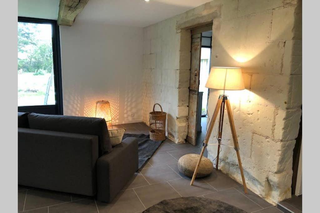 فيلا Le Logis De La Tour Saint Jacques Chouzé-sur-Loire المظهر الخارجي الصورة